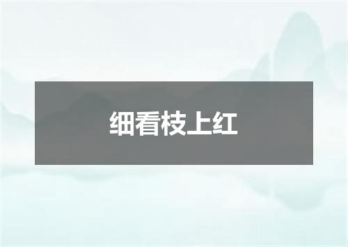 细看枝上红