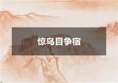 惊鸟目争宿