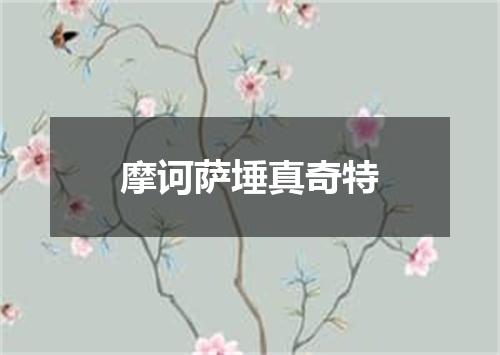 摩诃萨埵真奇特