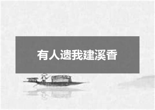 有人遗我建溪香