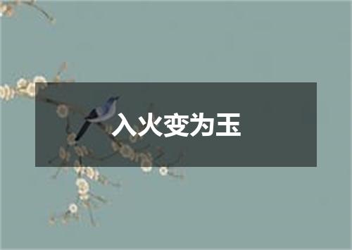 入火变为玉