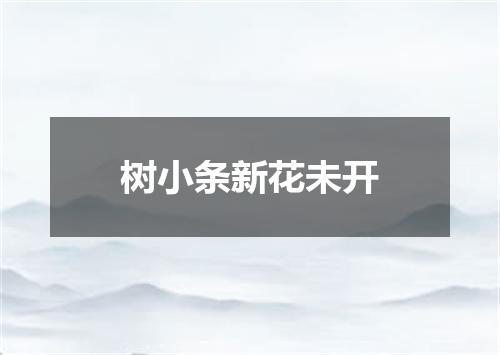 树小条新花未开