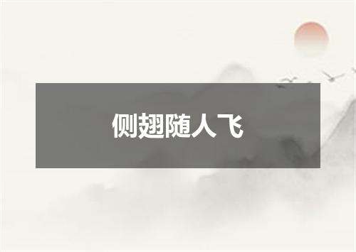 侧翅随人飞