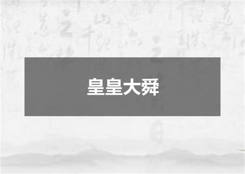 皇皇大舜