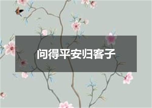 问得平安归客子