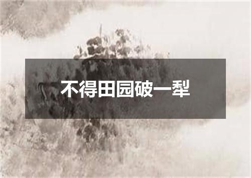 不得田园破一犁