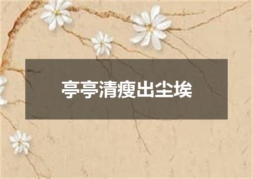 亭亭清瘦出尘埃