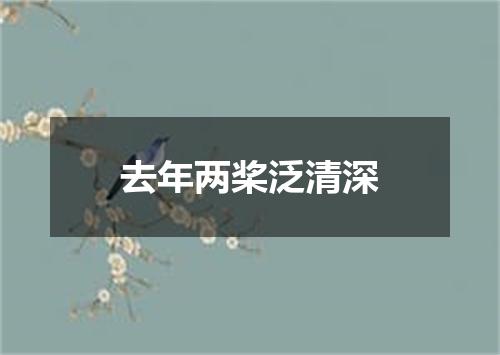 去年两桨泛清深