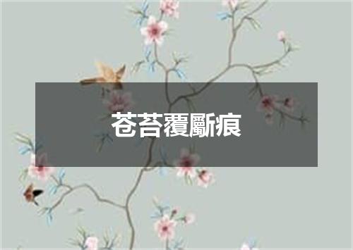 苍苔覆斸痕