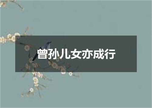 曾孙儿女亦成行