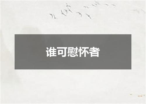 谁可慰怀者
