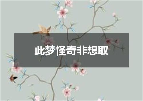 此梦怪奇非想取
