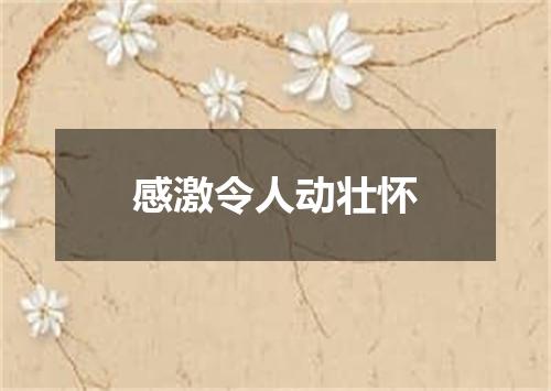 感激令人动壮怀