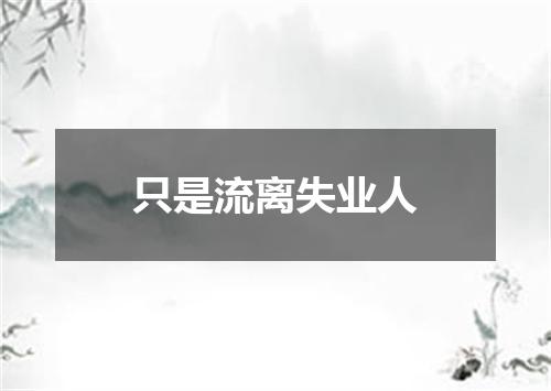 只是流离失业人