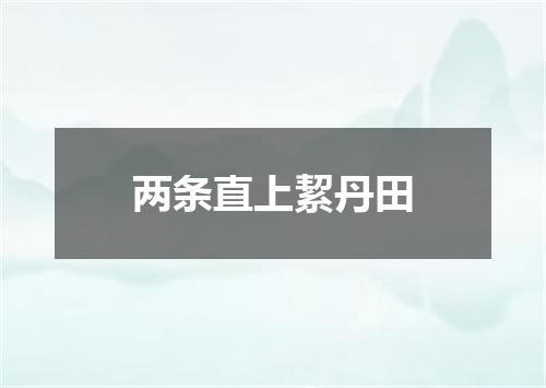 两条直上絜丹田