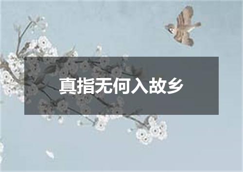 真指无何入故乡