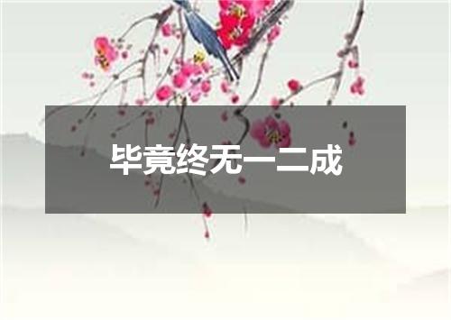 毕竟终无一二成