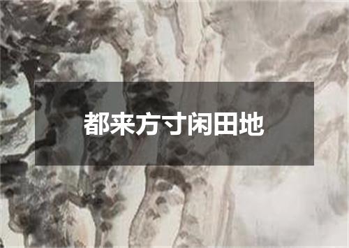 都来方寸闲田地