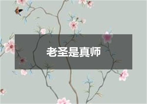 老圣是真师