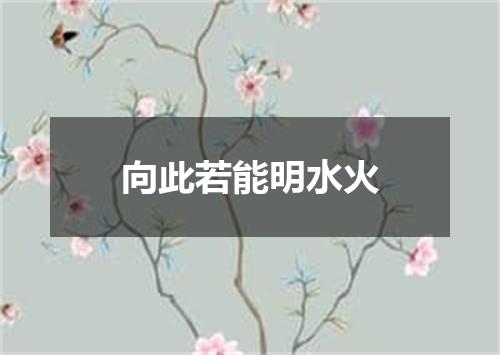 向此若能明水火