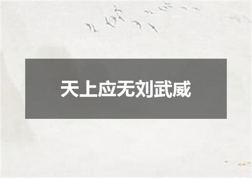 天上应无刘武威