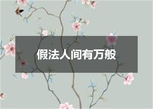 假法人间有万般