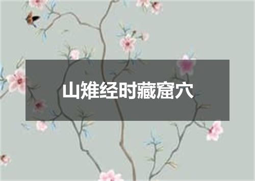 山雉经时藏窟穴