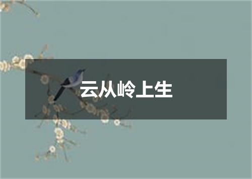 云从岭上生