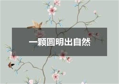 一颗圆明出自然
