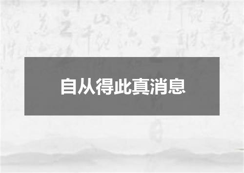 自从得此真消息