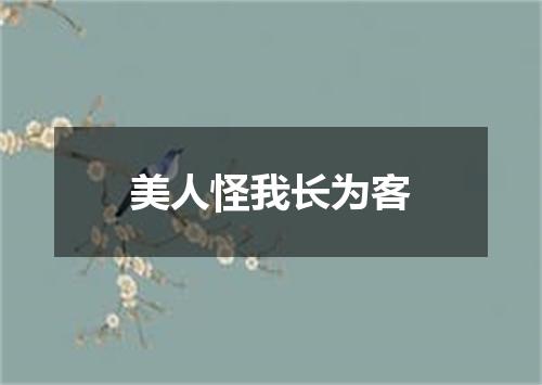 美人怪我长为客