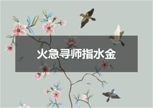 火急寻师指水金