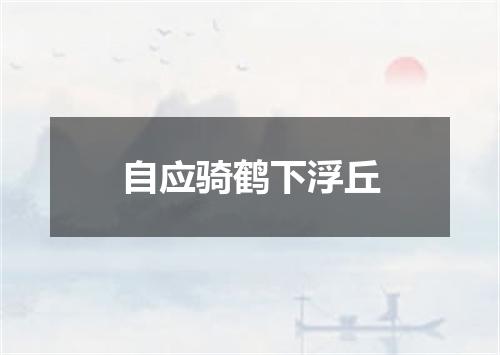 自应骑鹤下浮丘