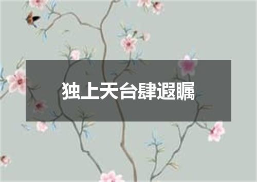 独上天台肆遐瞩