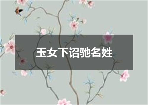 玉女下诏驰名姓