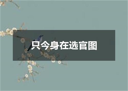 只今身在选官图