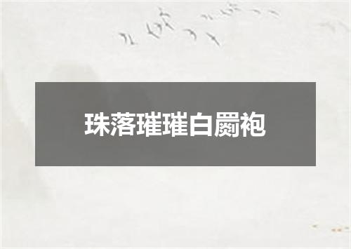 珠落璀璀白罽袍