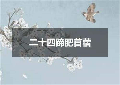 二十四蹄肥苜蓿