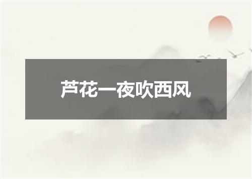 芦花一夜吹西风