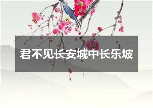 君不见长安城中长乐坡