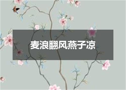 麦浪翻风燕子凉