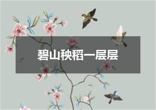 碧山秧稻一层层