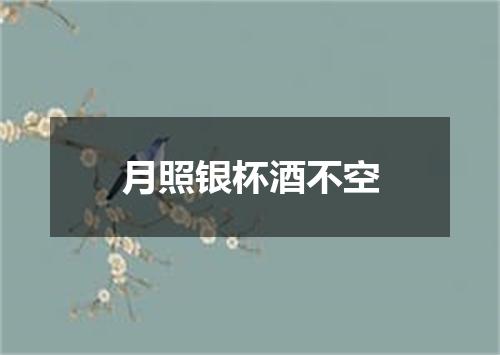 月照银杯酒不空