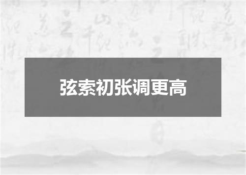 弦索初张调更高