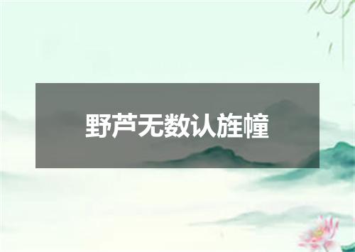野芦无数认旌幢