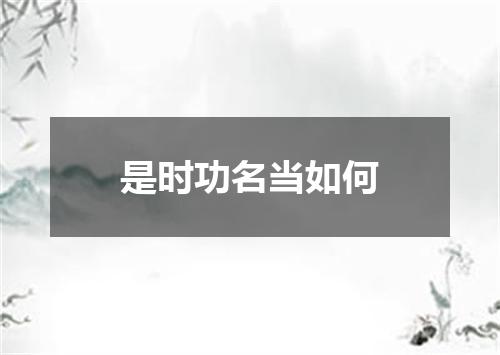 是时功名当如何