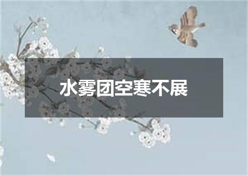 水雾团空寒不展