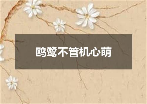 鸥鹭不管机心萌