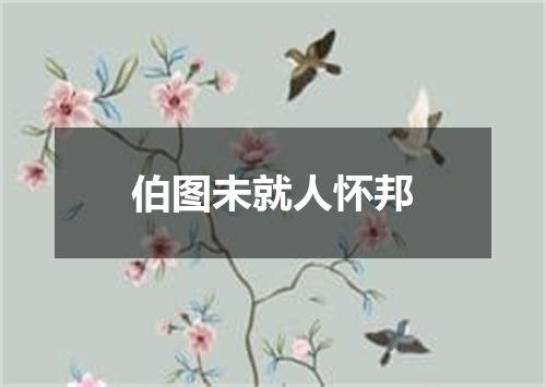 伯图未就人怀邦