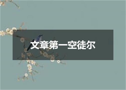 文章第一空徒尔